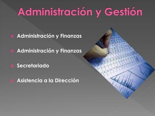  Administración y Finanzas
 Administración y Finanzas
 Secretariado
 Asistencia a la Dirección
 