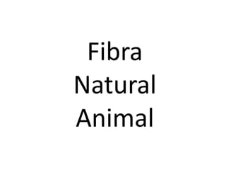 Fibra
Natural
Animal
 