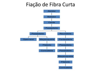 Fiação de Fibra Curta
Open-end
Conicaleira
Filatorio
Maçaroqueira
Passadeira
Conicaleira
Filatorio
Maçaroqueira
Passadeira
Passadeira
Penteadeira
Reunideira
Passadeira
Carda
Batedor
Abridor
 