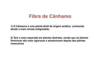 Fibra de Cânhamo
1) O Cânhamo é uma planta têxtil de origem asiática conhecida
desde a mais remota antigüidade.
2) Tem o sexo separado em plantas distintas, sendo que as plantas
femininas são mais vigorosas e amadurecem depois das plantas
masculinas
 