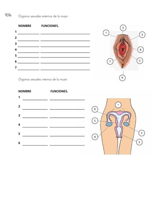 106 Órganos sexuales externos de la mujer:
NOMBRE		 FUNCIONES.
1
2
3
4
5
6
7
Órganos sexuales internos de la mujer:
NOMBRE			FUNCIONES.
1
2
3
4
5
6
2
1
3
4
5
6
7
1
6
5
4
3
2
 
