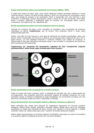 Mod VII - 7
EXAME MICROSCÓPICO DIRETO COM HIDRÓXIDO DE POTÁSSIO (KOH) A 20%
É usado para exame de pelos, pele, unha, tecido obtido por biópsia, exsudatos espessos e outros
materiais densos. Colocar uma gota de KOH (aquoso a 20%) em uma lâmina de microscopia e sobre
esta, uma porção da amostra a ser examinada. Cobrir a preparação com uma lamínula e, para
intensificar a clarificação, aquecer ligeiramente, sobre a chama de um bico de Bunsen, sem deixar
ferver a mistura. Examinar a preparação após 20 minutos, em microscópio óptico comum,
inicialmente, com objetiva de 10x, seguida de 40x.
EXAME MICROSCÓPICO DIRETO COM TINTA NANQUIM (TINTA DA CHINA)
Utilizada em amostras de líquor, urina, secreções ou exsudatos, para visualização de leveduras
capsuladas do gênero Cryptococcus, que se tornam mais evidentes contra o fundo negro
proporcionado pela tinta.
Colocar uma gota de tinta nanquim e uma gota do sedimento da amostra centrifugada, sobre uma
lâmina. Cobrir a preparação com lamínula e observar ao microscópio óptico (objetivas de 10x e 40 x).
Nesta técnica, um erro bastante frequente é confundir linfócitos com células de leveduras. A
diferenciação é feita pela refringência da parede celular e das inclusões no citoplasma das leveduras,
além da presença de brotamentos.
Cryptococcus sp: leveduras em brotamento rodeadas de halo transparente (cápsula
polissacarídica), sobre fundo negro formado pela tinta nanquim
EXAME MICROSCÓPICO COM COLORAÇÃO PELO MÉTODO DE GRAM
Todos os fungos são Gram- positivos, assim a utilização da coloração não visa a diferenciação dos
microrganismos, mas possibilita discriminar elementos fúngicos de artefatos existentes em urina,
secreções e fezes. A amostra é espalhada de modo homogêneo, em movimentos circulares, em uma
lâmina de microscopia, fixada com calor e submetida à coloração.
EXAME MICROSCÓPICO COM COLORAÇÃO PANÓTICA (GIEMSA, LEISHMAN OU WRIGHT)
Estas colorações são usadas para pesquisa de Histoplasma capsulatum em diversas amostras
biológicas: medula óssea, sangue, aspirados e secreção cutânea. Nestes casos, faz-se um esfregaço
semelhante ao usado para coloração de Gram. Fixa-se com metanol e cora-se segundo o método
escolhido. Podem ser usadas ainda, para corar “imprints” de tecidos obtidos por biópsia.
Abaixo estão esquematizados os principais aspectos morfológicos observados ao exame microscópico
e os possíveis agentes etiológicos de acordo com a amostra biológica.
Cápsula
Polissacarídica
Inclusões
citoplasmáticas
Células em
brotamento
Tinta da China
 