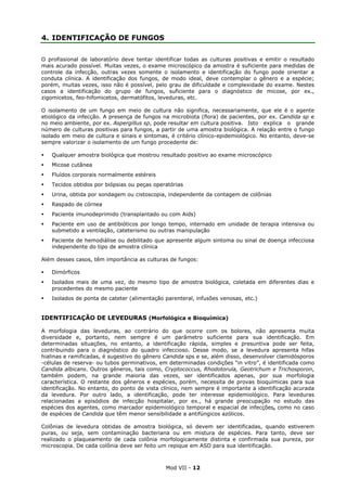 Mod VII - 12
4. IDENTIFICAÇÃO DE FUNGOS
O profissional de laboratório deve tentar identificar todas as culturas positivas e emitir o resultado
mais acurado possível. Muitas vezes, o exame microscópico da amostra é suficiente para medidas de
controle da infecção, outras vezes somente o isolamento e identificação do fungo pode orientar a
conduta clínica. A identificação dos fungos, de modo ideal, deve contemplar o gênero e a espécie;
porém, muitas vezes, isso não é possível, pelo grau de dificuldade e complexidade do exame. Nestes
casos a identificação do grupo de fungos, suficiente para o diagnóstico de micose, por ex.,
zigomicetos, feo-hifomicetos, dermatófitos, leveduras, etc.
O isolamento de um fungo em meio de cultura não significa, necessariamente, que ele é o agente
etiológico da infecção. A presença de fungos na microbiota (flora) de pacientes, por ex. Candida sp e
no meio ambiente, por ex. Aspergillus sp, pode resultar em cultura positiva. Isto explica o grande
número de culturas positivas para fungos, a partir de uma amostra biológica. A relação entre o fungo
isolado em meio de cultura e sinais e sintomas, é critério clínico-epidemiológico. No entanto, deve-se
sempre valorizar o isolamento de um fungo procedente de:
Qualquer amostra biológica que mostrou resultado positivo ao exame microscópico
Micose cutânea
Fluídos corporais normalmente estéreis
Tecidos obtidos por biópsias ou peças operatórias
Urina, obtida por sondagem ou cistoscopia, independente da contagem de colônias
Raspado de córnea
Paciente imunodeprimido (transplantado ou com Aids)
Paciente em uso de antibióticos por longo tempo, internado em unidade de terapia intensiva ou
submetido a ventilação, cateterismo ou outras manipulação
Paciente de hemodiálise ou debilitado que apresente algum sintoma ou sinal de doença infecciosa
independente do tipo de amostra clínica
Além desses casos, têm importância as culturas de fungos:
Dimórficos
Isolados mais de uma vez, do mesmo tipo de amostra biológica, coletada em diferentes dias e
procedentes do mesmo paciente
Isolados de ponta de cateter (alimentação parenteral, infusões venosas, etc.)
IDENTIFICAÇÃO DE LEVEDURAS (Morfológica e Bioquímica)
A morfologia das leveduras, ao contrário do que ocorre com os bolores, não apresenta muita
diversidade e, portanto, nem sempre é um parâmetro suficiente para sua identificação. Em
determinadas situações, no entanto, a identificação rápida, simples e presuntiva pode ser feita,
contribuindo para o diagnóstico do quadro infeccioso. Desse modo, se a levedura apresenta hifas
hialinas e ramificadas, é sugestivo do gênero Candida sps e se, além disso, desenvolver clamidósporos
-células de reserva- ou tubos germinativos, em determinadas condições “in vitro”, é identificada como
Candida albicans. Outros gêneros, tais como, Cryptococcus, Rhodotorula, Geotrichum e Trichosporon,
também podem, na grande maioria das vezes, ser identificados apenas, por sua morfologia
característica. O restante dos gêneros e espécies, porém, necessita de provas bioquímicas para sua
identificação. No entanto, do ponto de vista clínico, nem sempre é importante a identificação acurada
da levedura. Por outro lado, a identificação, pode ter interesse epidemiológico. Para leveduras
relacionadas a episódios de infecção hospitalar, por ex., há grande preocupação no estudo das
espécies dos agentes, como marcador epidemiológico temporal e espacial de infecções, como no caso
de espécies de Candida que têm menor sensibilidade a antifúngicos azólicos.
Colônias de levedura obtidas de amostra biológica, só devem ser identificadas, quando estiverem
puras, ou seja, sem contaminação bacteriana ou em mistura de espécies. Para tanto, deve ser
realizado o plaqueamento de cada colônia morfologicamente distinta e confirmada sua pureza, por
microscopia. De cada colônia deve ser feito um repique em ASD para sua identificação.
 