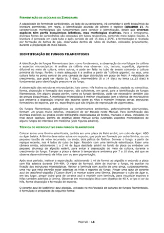 Mod VII - 16
FERMENTAÇÃO DE ACÚCARES OU ZIMOGRAMA
A capacidade de fermentar carboidratos, ao lado do auxanograma, irá completar o perfil bioquímico da
levedura permitindo, em regra, a identificação acurada de gênero e espécie (QUADRO 3). As
características morfológicas são fundamentais para concluir a identificação, desde que diversas
espécies têm perfis bioquímicos idênticos, mas morfologias distintas. Para o zimograma,
diversas fontes de carboidratos são colocadas em tubos respectivos, contendo meio básico líquido. A
levedura é semeada em cada tubo e após período de até 15 dias a 25°C, a fermentação é revelada
por formação de bolhas de gás, observadas dentro de tubos de Durhan, colocados previamente,
durante a preparação do meio básico.
IDENTIFICAÇÃO DE FUNGOS FILAMENTOSOS
A identificação de fungos filamentosos tem, como fundamento, a observação da morfologia da colônia
e aspectos microscópicos. A análise da colônia visa observar: cor, textura, superfície, pigmento
difusível no meio de cultura, entre outros, e pode ser feita no tubo de ensaio contendo a cultura
primária do fungo. Porém, o mais adequado é a análise a partir da “colônia gigante’, ou seja, uma
cultura feita no ponto central de uma camada de ágar distribuído em placa de Petri. A velocidade de
crescimento, que pode ser rápida (< 7 dias), intermediária (8 a 14 dias) ou lenta (> 15 dias) é
fundamental para identificação presuntiva do fungo.
A observação das estruturas microscópicas, tais como: hifa hialina ou demácia, septada ou cenocítica,
forma, disposição e formação dos esporos, são suficientes, em geral, para a identificação de fungos
filamentosos. Em alguns grupos porém, como os fungos demácios, pode ser necessário também uso
de provas bioquímicas. A morfologia microscópica é melhor visualizada com a técnica de microcultivo
que preserva a disposição original dos esporos sobre as hifas e mantém íntegras certas estruturas
formadoras de esporos, por ex. esporângios que são órgãos de reprodução de zigomicetos.
Os fungos filamentosos, patogênicos ou contaminantes ambientais, potencialmente oportunistas,
formam um grupo muito extenso, impossível de ser tratado neste Manual. Para identificação das
diversas espécies ou grupos existe bibliografia especializada de textos, manuais e atlas, indicados no
final deste capítulo. Dentro do objetivo deste Manual serão ilustrados aspectos microscópicos de
alguns fungos de interesse em medicina (vide Figuras adiante).
TÉCNICA DE MICROCULTIVO PARA FUNGOS FILAMENTOSOS
Colocar sobre uma lâmina esterilizada, contida em uma placa de Petri estéril, um cubo de ágar: ASD
ou ágar batata. A lâmina deve estar sobre um suporte, que pode ser formado por outra lâmina, ou um
pequeno bastão de vidro recurvado, ou ainda, dois palitos de fósforo. Semear o fungo, a partir de
repique recente, nos 4 lados do cubo de ágar. Recobrir com uma lamínula esterilizada. Fazer uma
câmara úmida, adicionando 1 a 2 ml de água destilada estéril no fundo da placa ou embeber um
pequeno chumaço de algodão estéril, para evitar a dessecação do meio de cultura, durante o
crescimento do fungo. Tampar a placa e deixar à temperatura ambiente por 7 a 10 dias, até que se
observe desenvolvimento de hifas com ou sem pigmentação.
Após esse período, inativar a esporulação, adicionando 1 ml de formol ao algodão e vedando a placa
com fita adesiva durante 24h-48h. O vapor de formaol, além de inativar o fungo, irá auxiliar na
fixação das estruturas microscópicas. Retirar a lamínula com auxílio de uma pinça, cuidadosamente,
uma vez que nela deverão estar aderidas as hifas e esporos do fungo. Pingar uma gota de corante
azul de lactofenol-algodão (“Cotton Blue”) e montar sobre uma lâmina. Desprezar o cubo de ágar e,
em seu lugar, pingar outra gota de corante azul e recobrir com lamínula, para visualizar esporos e
hifas também aderidos à lâmina. Observar em microscópio ótico com objetiva de 40 X, o tipo e cor da
hifa, forma disposição e formação de esporos.
O corante azul de lactofenol-azul algodão, utilizado na microscopia de culturas de fungos filamentosos,
é formulado e preparado da seguinte forma:
 