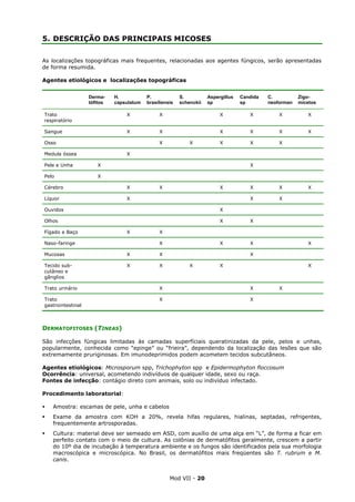 Mod VII - 20
5. DESCRIÇÃO DAS PRINCIPAIS MICOSES
As localizações topográficas mais frequentes, relacionadas aos agentes fúngicos, serão apresentadas
de forma resumida.
Agentes etiológicos e localizações topográficas
Derma-
tófitos
H.
capsulatum
P.
brasiliensis
S.
schenckii
Aspergillus
sp
Candida
sp
C.
neoforman
Zigo-
micetos
Trato
respiratório
X X X X X X
Sangue X X X X X X
Osso X X X X X
Medula óssea X
Pele e Unha X X
Pelo X
Cérebro X X X X X X
Líquor X X X
Ouvidos X
Olhos X X
Fígado e Baço X X
Naso-faringe X X X X
Mucosas X X X
Tecido sub-
cutâneo e
gânglios
X X X X X
Trato urinário X X X
Trato
gastrointestinal
X X
DERMATOFITOSES (TINEAS)
São infecções fúngicas limitadas às camadas superfíciais queratinizadas da pele, pelos e unhas,
popularmente, conhecida como “epinge” ou “frieira”, dependendo da localização das lesões que são
extremamente pruriginosas. Em imunodeprimidos podem acometem tecidos subcutâneos.
Agentes etiológicos: Microsporum spp, Trichophyton spp e Epidermophyton floccosum
Ocorrência: universal, acometendo indivíduos de qualquer idade, sexo ou raça.
Fontes de infecção: contágio direto com animais, solo ou indivíduo infectado.
Procedimento laboratorial:
Amostra: escamas de pele, unha e cabelos
Exame da amostra com KOH a 20%, revela hifas regulares, hialinas, septadas, refrigentes,
frequentemente artrosporadas.
Cultura: material deve ser semeado em ASD, com auxílio de uma alça em “L”, de forma a ficar em
perfeito contato com o meio de cultura. As colônias de dermatófitos geralmente, crescem a partir
do 10º dia de incubação à temperatura ambiente e os fungos são identificados pela sua morfologia
macroscópica e microscópica. No Brasil, os dermatófitos mais freqüentes são T. rubrum e M.
canis.
 