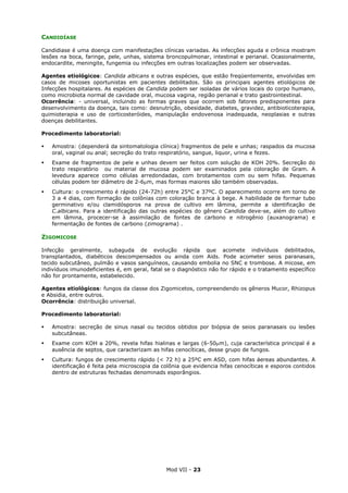 Mod VII - 23
CANDIDÍASE
Candidiase é uma doença com manifestações clínicas variadas. As infecções aguda e crônica mostram
lesões na boca, faringe, pele, unhas, sistema broncopulmonar, intestinal e perianal. Ocasionalmente,
endocardite, meningite, fungemia ou infecções em outras localizações podem ser observadas.
Agentes etiológicos: Candida albicans e outras espécies, que estão freqüentemente, envolvidas em
casos de micoses oportunistas em pacientes debilitados. São os principais agentes etiológicos de
Infecções hospitalares. As espécies de Candida podem ser isoladas de vários locais do corpo humano,
como microbiota normal de cavidade oral, mucosa vagina, região perianal e trato gastrointestinal.
Ocorrência: - universal, incluindo as formas graves que ocorrem sob fatores predisponentes para
desenvolvimento da doença, tais como: desnutrição, obesidade, diabetes, gravidez, antibioticoterapia,
quimioterapia e uso de corticosteróides, manipulação endovenosa inadequada, neoplasias e outras
doenças debilitantes.
Procedimento laboratorial:
Amostra: (dependerá da sintomatologia clínica) fragmentos de pele e unhas; raspados da mucosa
oral, vaginal ou anal; secreção do trato respiratório, sangue, liquor, urina e fezes.
Exame de fragmentos de pele e unhas devem ser feitos com solução de KOH 20%. Secreção do
trato respiratório ou material de mucosa podem ser examinados pela coloração de Gram. A
levedura aparece como células arredondadas, com brotamentos com ou sem hifas. Pequenas
células podem ter diâmetro de 2-6µm, mas formas maiores são também observadas.
Cultura: o crescimento é rápido (24-72h) entre 25°C e 37ºC. O aparecimento ocorre em torno de
3 a 4 dias, com formação de colônias com coloração branca à bege. A habilidade de formar tubo
germinativo e/ou clamidósporos na prova de cultivo em lâmina, permite a identificação de
C.albicans. Para a identificação das outras espécies do gênero Candida deve-se, além do cultivo
em lâmina, procecer-se à assimilação de fontes de carbono e nitrogênio (auxanograma) e
fermentação de fontes de carbono (zimograma) .
ZIGOMICOSE
Infecção geralmente, subaguda de evolução rápida que acomete indivíduos debilitados,
transplantados, diabéticos descompensados ou ainda com Aids. Pode acometer seios paranasais,
tecido subcutâneo, pulmão e vasos sanguíneos, causando embolia no SNC e trombose. A micose, em
indivíduos imunodeficientes é, em geral, fatal se o diagnóstico não for rápido e o tratamento específico
não for prontamente, estabelecido.
Agentes etiológicos: fungos da classe dos Zigomicetos, compreendendo os gêneros Mucor, Rhizopus
e Absidia, entre outros.
Ocorrência: distribuição universal.
Procedimento laboratorial:
Amostra: secreção de sinus nasal ou tecidos obtidos por biópsia de seios paranasais ou lesões
subcutâneas.
Exame com KOH a 20%, revela hifas hialinas e largas (6-50µm), cuja característica principal é a
ausência de septos, que caracterizam as hifas cenocíticas, desse grupo de fungos.
Cultura: fungos de crescimento rápido (< 72 h) a 25ºC em ASD, com hifas áereas abundantes. A
identificação é feita pela microscopia da colônia que evidencia hifas cenocíticas e esporos contidos
dentro de estruturas fechadas denominads esporângios.
 