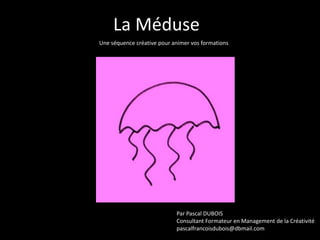 La Méduse
Une séquence créative pour animer vos formations

Par Pascal DUBOIS
Consultant Formateur en Management de la Créativité
pascalfrancoisdubois@dbmail.com

 