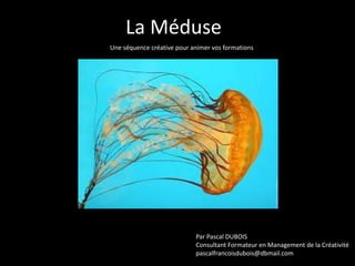 La Méduse
Une séquence créative pour animer vos formations

Par Pascal DUBOIS
Consultant Formateur en Management de la Créativité
pascalfrancoisdubois@dbmail.com

 