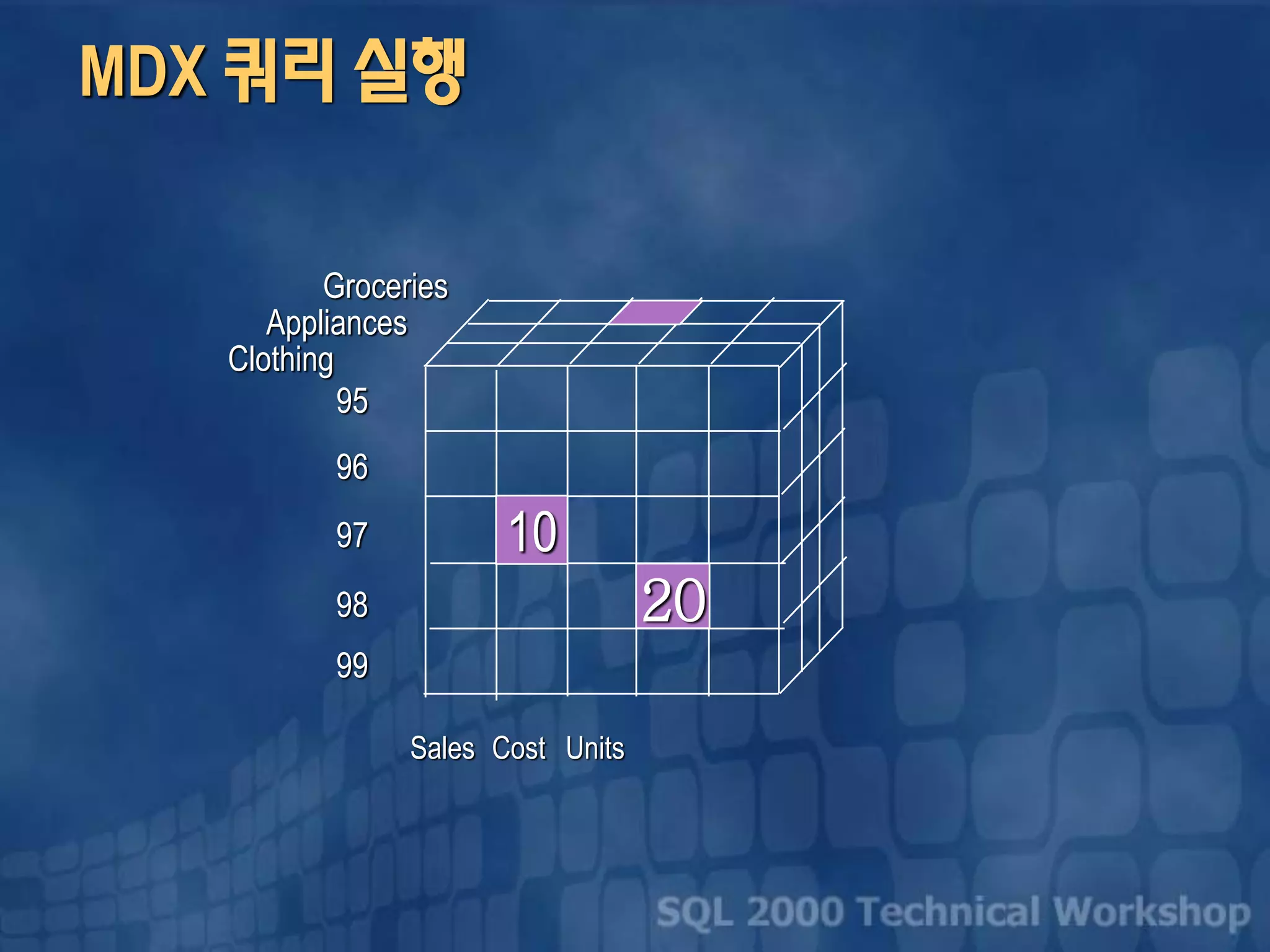 MDX 쿼리 실행
Groceries
Clothing
Appliances
Sales Cost Units
97
98
99
96
95
20
10
 