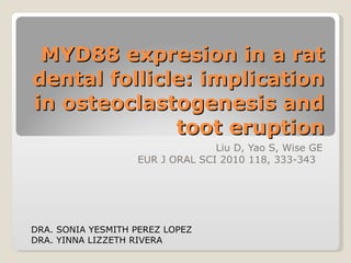 MYD88 expresion in a rat dental follicle: implication in osteoclastogenesis and toot eruption Liu D, Yao S, Wise GE EUR J ORAL SCI 2010 118, 333-343  DRA. SONIA YESMITH PEREZ LOPEZ  DRA. YINNA LIZZETH RIVERA 