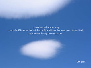 …ever since that morning
I wonder if I can be like this butterfly and have the most trust when I feel
                     imprisoned by my circumstances.




                                                                     Can you?
 