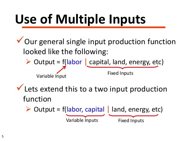Economics of Input Input Combination