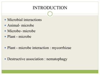 INTRODUCTION
 Microbial interactions
 Animal- microbe
 Microbe- microbe
 Plant - microbe
 Plant - microbe interaction : mycorrhizae
 Destructive association : nematophagy
 