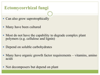 Ectomycorrhizal fungi
 Can also grow saprotrophically
 Many have been cultured
 Most do not have the capability to degrade complex plant
polymers (e.g. cellulose and lignin)
 Depend on soluble carbohydrates
 Many have organic growth factor requirements – vitamins, amino
acids
 Not decomposers but depend on plant
 