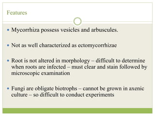 Features
 Mycorrhiza possess vesicles and arbuscules.
 Not as well characterized as ectomycorrhizae
 Root is not altered in morphology – difficult to determine
when roots are infected – must clear and stain followed by
microscopic examination
 Fungi are obligate biotrophs – cannot be grown in axenic
culture – so difficult to conduct experiments
 