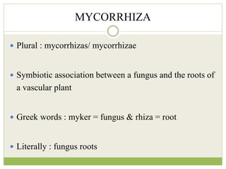 MYCORRHIZA
 Plural : mycorrhizas/ mycorrhizae
 Symbiotic association between a fungus and the roots of
a vascular plant
 Greek words : myker = fungus & rhiza = root
 Literally : fungus roots
 