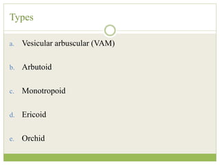 Types
a. Vesicular arbuscular (VAM)
b. Arbutoid
c. Monotropoid
d. Ericoid
e. Orchid
 