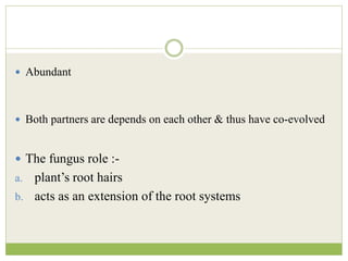  Abundant
 Both partners are depends on each other & thus have co-evolved
 The fungus role :-
a. plant’s root hairs
b. acts as an extension of the root systems
 