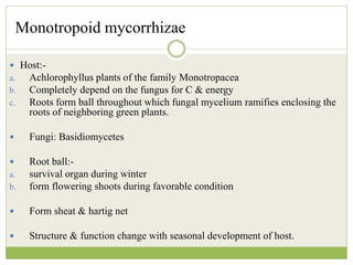 Monotropoid mycorrhizae
 Host:-
a. Achlorophyllus plants of the family Monotropacea
b. Completely depend on the fungus for C & energy
c. Roots form ball throughout which fungal mycelium ramifies enclosing the
roots of neighboring green plants.
 Fungi: Basidiomycetes
 Root ball:-
a. survival organ during winter
b. form flowering shoots during favorable condition
 Form sheat & hartig net
 Structure & function change with seasonal development of host.
 