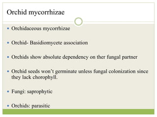 Orchid mycorrhizae
 Orchidaceous mycorrhizae
 Orchid- Basidiomycete association
 Orchids show absolute dependency on ther fungal partner
 Orchid seeds won’t germinate unless fungal colonization since
they lack chorophyll.
 Fungi: saprophytic
 Orchids: parasitic
 