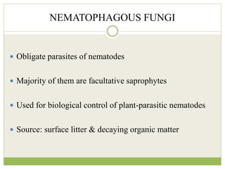 NEMATOPHAGOUS FUNGI
 Obligate parasites of nematodes
 Majority of them are facultative saprophytes
 Used for biological control of plant-parasitic nematodes
 Source: surface litter & decaying organic matter
 
