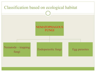 Classification based on ecological habitat
NEMATOPHAGOUS
FUNGI
Nematode – trapping
fungi
Endoparasitic fungi Egg parasites
 