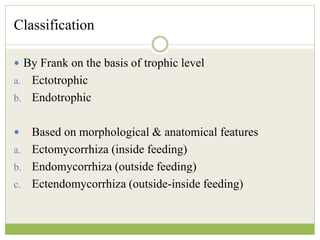 Classification
 By Frank on the basis of trophic level
a. Ectotrophic
b. Endotrophic
 Based on morphological & anatomical features
a. Ectomycorrhiza (inside feeding)
b. Endomycorrhiza (outside feeding)
c. Ectendomycorrhiza (outside-inside feeding)
 