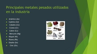 Principales metales pesados utilizados
en la industria
 Arsénico (As)
 Cadmio (Cd)
 Cobalto (Co)
 Cromo (Cr)
 Cobre (Cu)
 Mercurio (Hg)
 Níquel (Ni)
 Plomo (Pb)
 Estaño (Sn)
 Cinc (Zn).
 