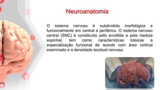 O sistema nervoso é subdividido morfológica e
funcionalmente em central e periférico. O sistema nervoso
central (SNC) é constituído pelo encéfalo e pela medula
espinhal, tem como características básicas a
especialização funcional de acordo com área cortical
examinada e a densidade tecidual nervosa.
Neuroanatomia
 
