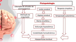 Liberação de ativador de
pasminogenico
Alteração da
coagulação
Lesão cerebral
Hipóxia cerebral
Morte encefálica
Instabilidade hemodinâmica
Hipoperfusao tecidual
Resposta simpática
Tempestade autonômica
Disfunção hipotalâmica
Fisiopatologia
 