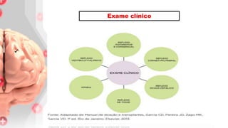 
Exame clínico
 