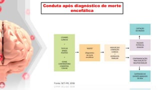 Conduta após diagnóstico de morte
encefálica
 