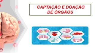 CAPTAÇÃO E DOAÇÃO
DE ÓRGÃOS
 
