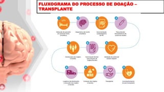 FLUXOGRAMA DO PROCESSO DE DOAÇÃO –
TRANSPLANTE
 