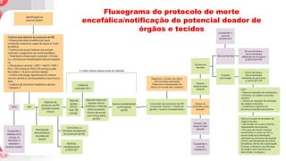 Fluxograma do protocolo de morte
encefálica/notificação do potencial doador de
órgãos e tecidos
 