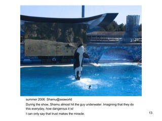 summer 2006  [email_address] During the show, Shamu almost hit the guy underwater. Imagining that they do this everyday, how dangerous it is! I can only say that trust makes the miracle. 