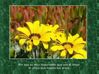 Por eso es muy importante que sea el Amor  lo único que inspire tus actos. 