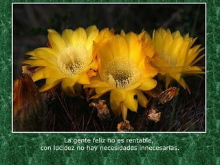 La gente feliz no es rentable,  con lucidez no hay necesidades innecesarias.   