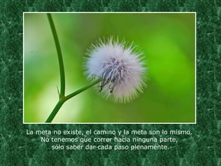 La meta no existe, el camino y la meta son lo mismo.  No tenemos que correr hacia ninguna parte,  sólo saber dar cada paso plenamente. 