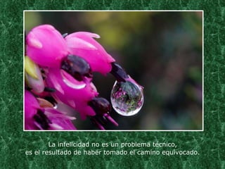 La infelicidad no es un problema técnico,  es el resultado de haber tomado el camino equivocado. 