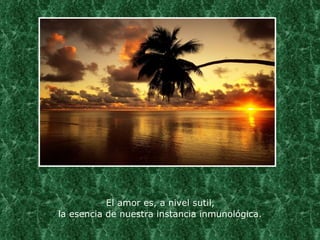 El amor es, a nivel sutil,  la esencia de nuestra instancia inmunológica. 