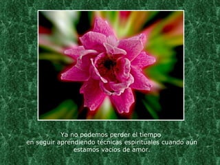 Ya no podemos perder el tiempo  en seguir aprendiendo técnicas espirituales cuando aún estamos vacíos de amor. 