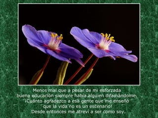 Menos mal que a pesar de mi esforzada  buena educación siempre había alguien difamándome.  ¡Cuánto agradezco a esa gente que me enseñó  que la vida no es un escenario!  Desde entonces me atreví a ser como soy. 