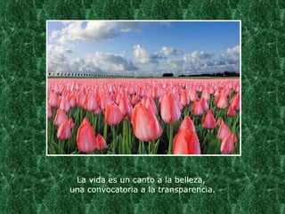 La vida es un canto a la belleza,  una convocatoria a la transparencia. 