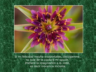 Si mi felicidad resulta insoportable, discúlpenme,  no hice de la cordura mi opción.  Prefiero la imaginación a lo indio,  es decir inocencia incluida. 