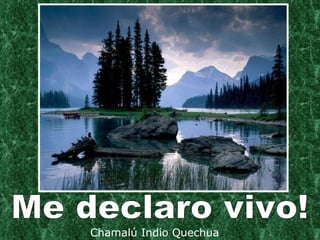 Chamalú Indio Quechua Me declaro vivo! 