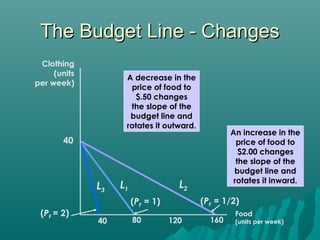 Theory of Consumer Behavior in managerial economics | PPT