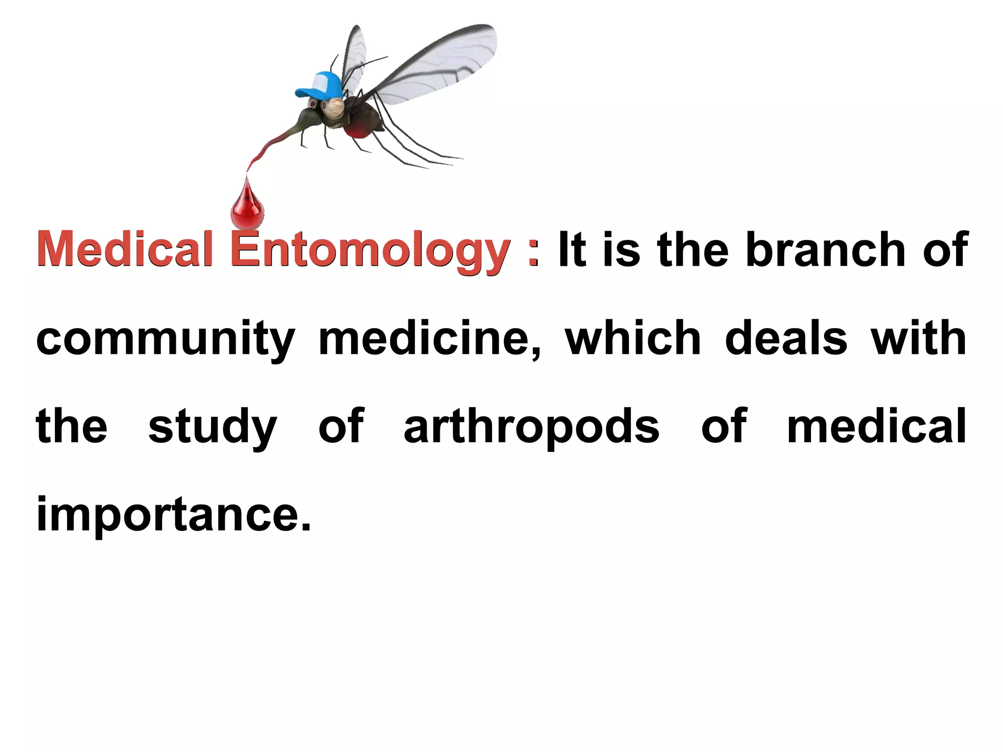 Medical Entomology - Mosquito | PPTX