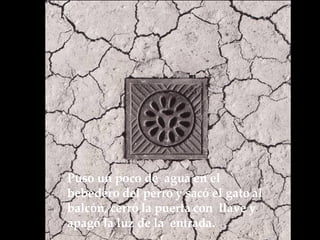 Puso un poco de  agua en el bebedero del perro y sacó el gato al balcón, cerró la puerta con  llave y apagó la luz de la  entrada.  