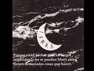 Porque están hechas para los largos recorridos (y no se pueden Morir antes, tienen demasiadas cosas que hacer).  